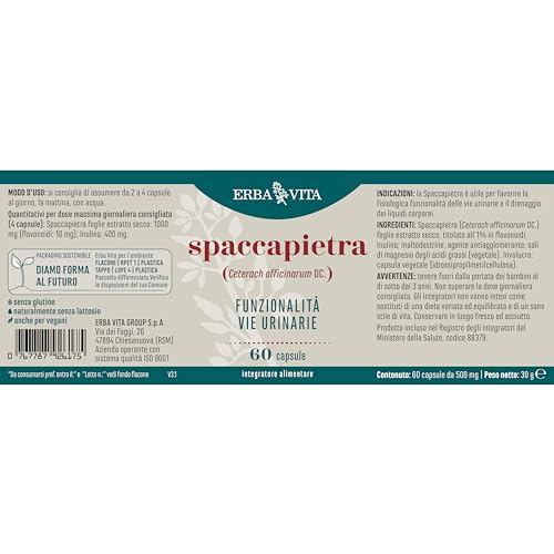 ERBA VITA Integratore Alimentare di Spaccapietra, 60 Capsule, per la funzionalità delle vie urinarie, 60 unità, 1