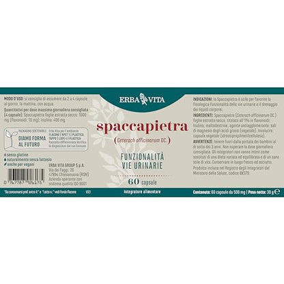 ERBA VITA Integratore Alimentare di Spaccapietra, 60 Capsule, per la funzionalità delle vie urinarie, 60 unità, 1