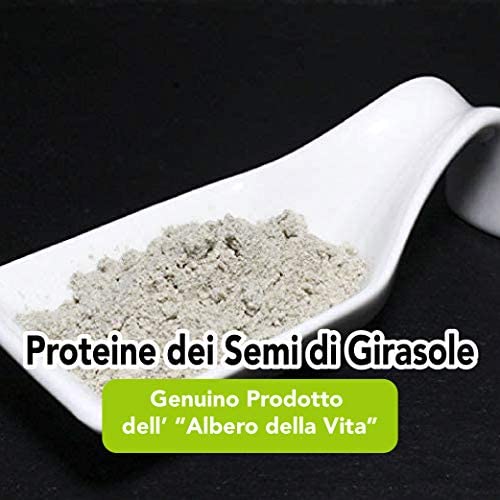 Proteine del Riso in Polvere Bio - 80% Proteina - 500g. Proteine Naturalmente Senza Lattosio e Glutine. Proteine Vegane Vegetali e Biologiche Senza Zucchero. Organic and Vegan Rice Protein Powder.