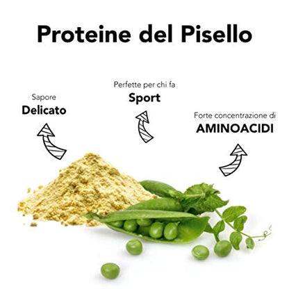 Proteine del Riso in Polvere Bio - 80% Proteina - 500g. Proteine Naturalmente Senza Lattosio e Glutine. Proteine Vegane Vegetali e Biologiche Senza Zucchero. Organic and Vegan Rice Protein Powder.