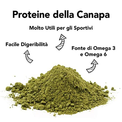 Proteine del Riso in Polvere Bio - 80% Proteina - 500g. Proteine Naturalmente Senza Lattosio e Glutine. Proteine Vegane Vegetali e Biologiche Senza Zucchero. Organic and Vegan Rice Protein Powder.