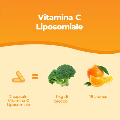 Bandini® Vitamina C Liposomiale 1000mg, 3 mesi, Vegana | Vit C 100% Vegana ad Alto dosaggio | Sistema Immunitario, Ossa, Cartilagini, Pelle, Denti, Stanchezza | Vitamin C Pura Acido Ascorbico 180 cps