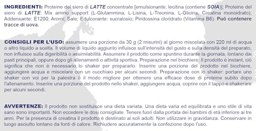 PROLABS POWER WHEY AMINO SUPPORT – 1 Kg - Cioccolato - Proteine del siero di latte – Con aminoacidi - Crescita della massa muscolare - Elevato valore biologico - Ottimo per gli sportivi