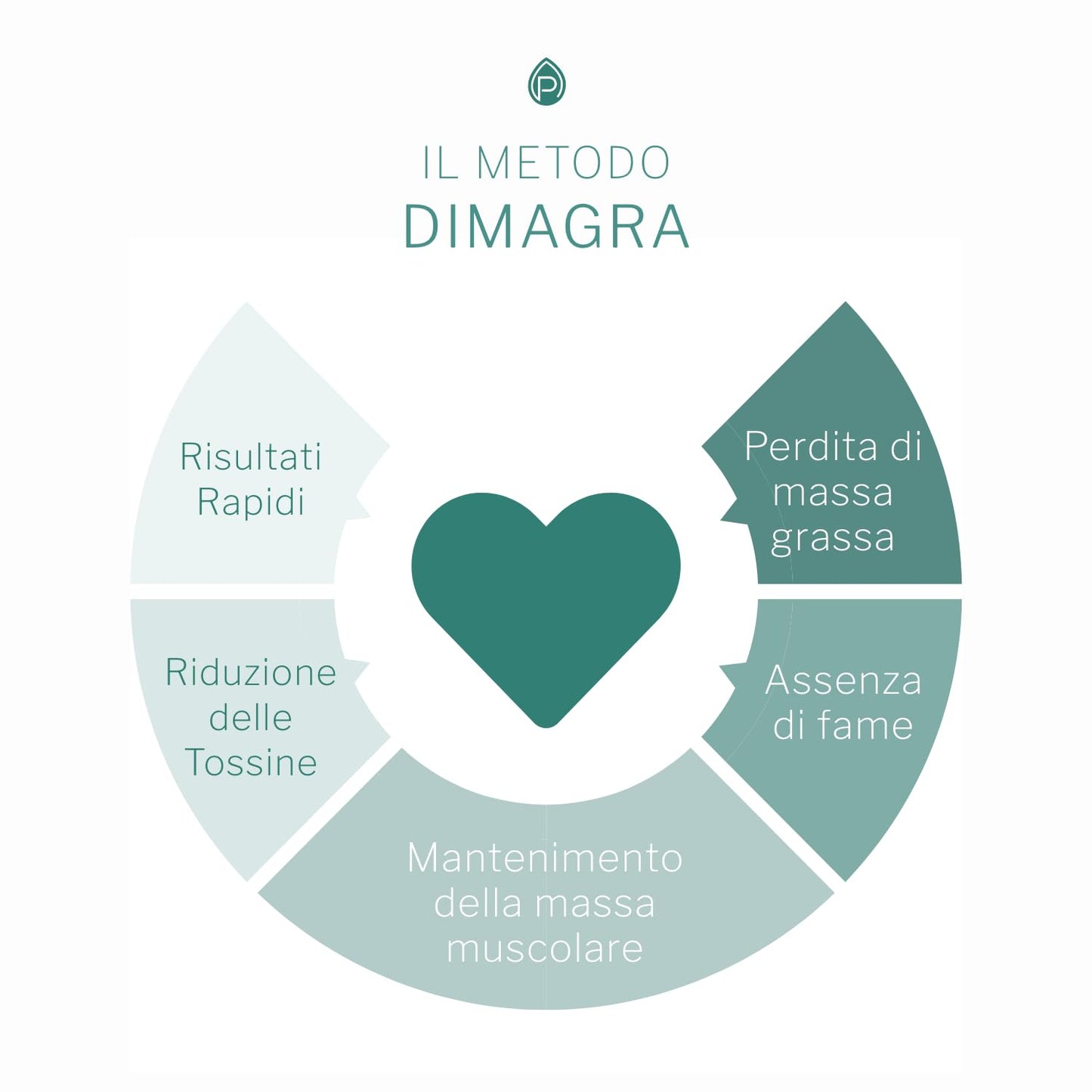 Dimagra Protein - Integratore Alimentare con proteine da siero del latte - Per dimagrire, disintossicare, per il mantenimento e la crescita della massa muscolare - Gusto cioccolato, 10 buste da 22 g