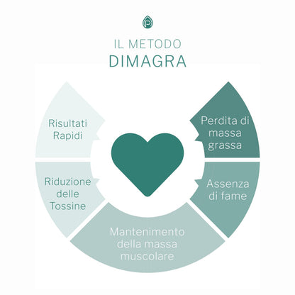 Dimagra Protein - Integratore Alimentare con proteine da siero del latte - Per dimagrire, disintossicare, per il mantenimento e la crescita della massa muscolare - Gusto cioccolato, 10 buste da 22 g