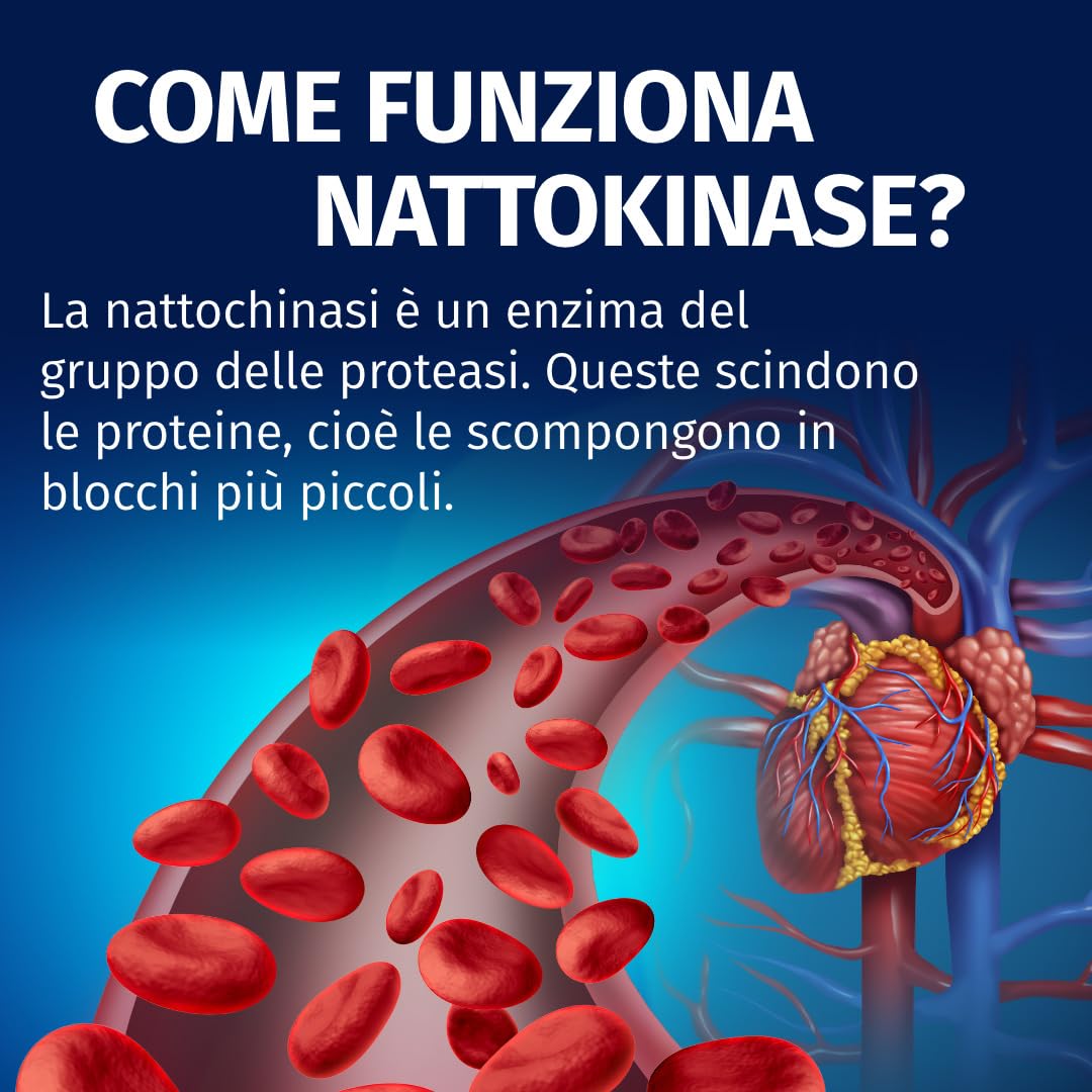 Nattokinase | 365 capsule | ad alto dosaggio | vegano | non OGM | 40.000 UFC/g | 100 mg per capsula | 1 anno di fornitura | Green Naturals®