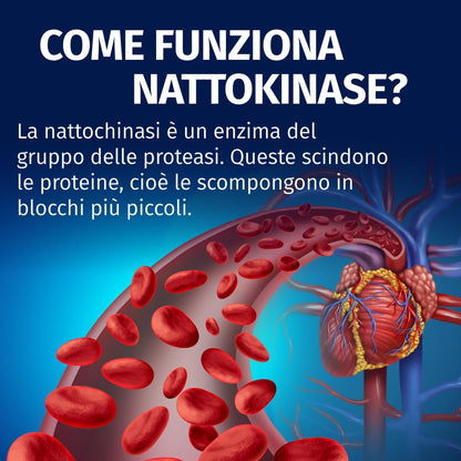 Nattokinase | 365 capsule | ad alto dosaggio | vegano | non OGM | 40.000 UFC/g | 100 mg per capsula | 1 anno di fornitura | Green Naturals®