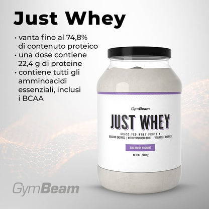 GymBeam Just Whey, Proteine in Polvere Multicomponente da Siero di Latte, Concentrato e Idrolizzato, 22,4g Proteine per Dose, con BCAA e Amminoacidi Essenziali (1000 g, Chocolate Milkshake)