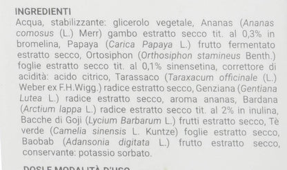 Erbenobili Drenvin Con Ananas e Tè verde ad azione drenante - 250 Ml