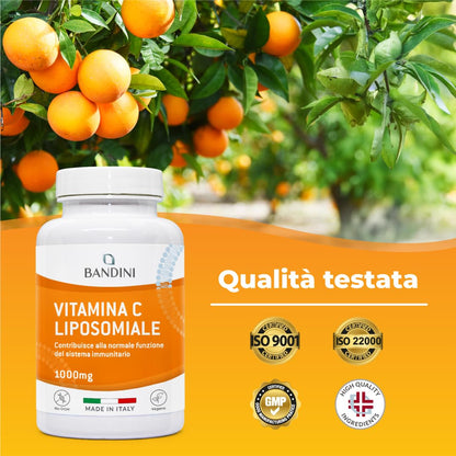 Bandini® Vitamina C Liposomiale 1000mg, 3 mesi, Vegana | Vit C 100% Vegana ad Alto dosaggio | Sistema Immunitario, Ossa, Cartilagini, Pelle, Denti, Stanchezza | Vitamin C Pura Acido Ascorbico 180 cps