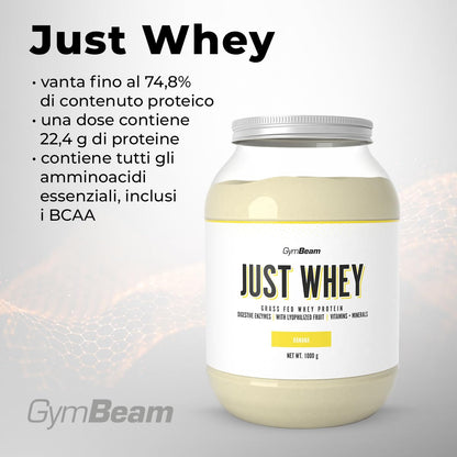 GymBeam Just Whey, Proteine in Polvere Multicomponente da Siero di Latte, Concentrato e Idrolizzato, 22,4g Proteine per Dose, con BCAA e Amminoacidi Essenziali (1000 g, Chocolate Milkshake)