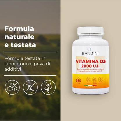 Bandini® Vitamina D3 2000 UI 365 Softgel | Alto Dosaggio 50μg | Vitamine D Colecalciferolo (Vit D) | IN OLIO D'OLIVA EXTRAVERGINE per Assorbimento Ottimale | Ossa, Denti, Muscoli, Sistema immunitario