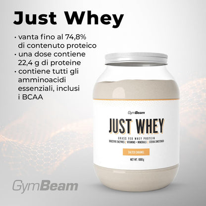 GymBeam Just Whey, Proteine in Polvere Multicomponente da Siero di Latte, Concentrato e Idrolizzato, 22,4g Proteine per Dose, con BCAA e Amminoacidi Essenziali (1000 g, Chocolate Milkshake)