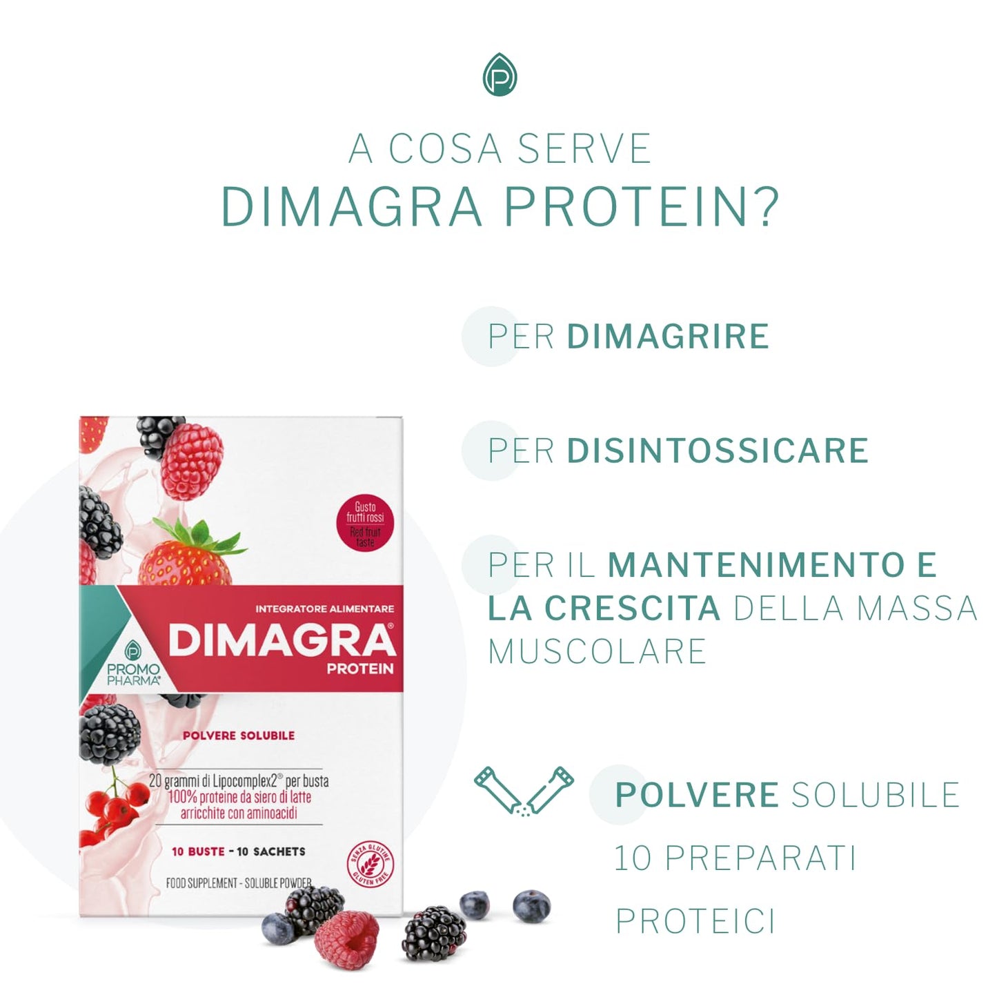 Dimagra Protein - Integratore Alimentare con proteine da siero del latte - Per dimagrire, disintossicare, per il mantenimento e la crescita della massa muscolare - Gusto cioccolato, 10 buste da 22 g