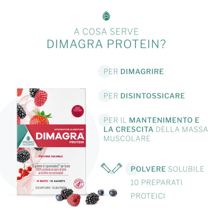 Dimagra Protein - Integratore Alimentare con proteine da siero del latte - Per dimagrire, disintossicare, per il mantenimento e la crescita della massa muscolare - Gusto cioccolato, 10 buste da 22 g