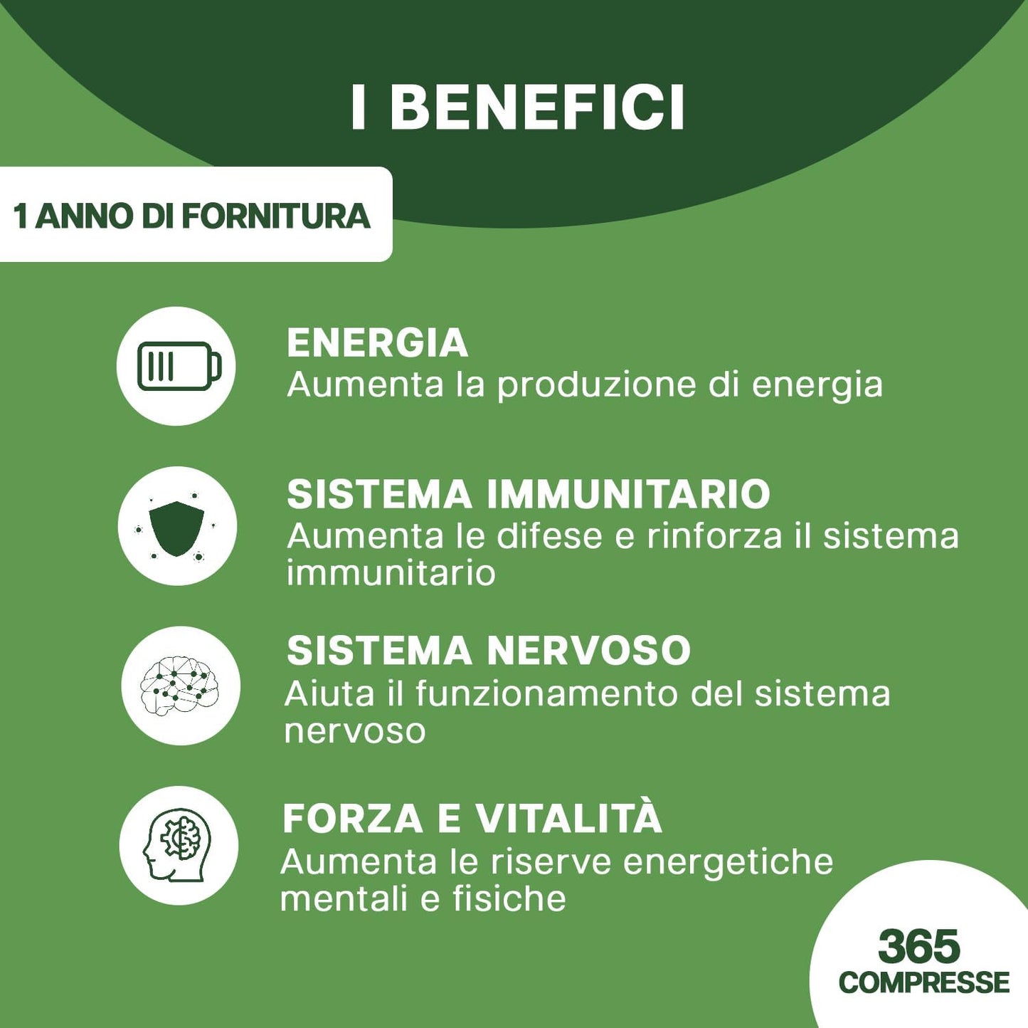 VITAMINA B EXTRA FORTE I 365 Compresse (Scorta Per 12 Mesi)| Complex di Vitamina B con Vitamina B1, B2, B3, B5, B6, B12, con Biotina, Acido Folico e Vitamina B12