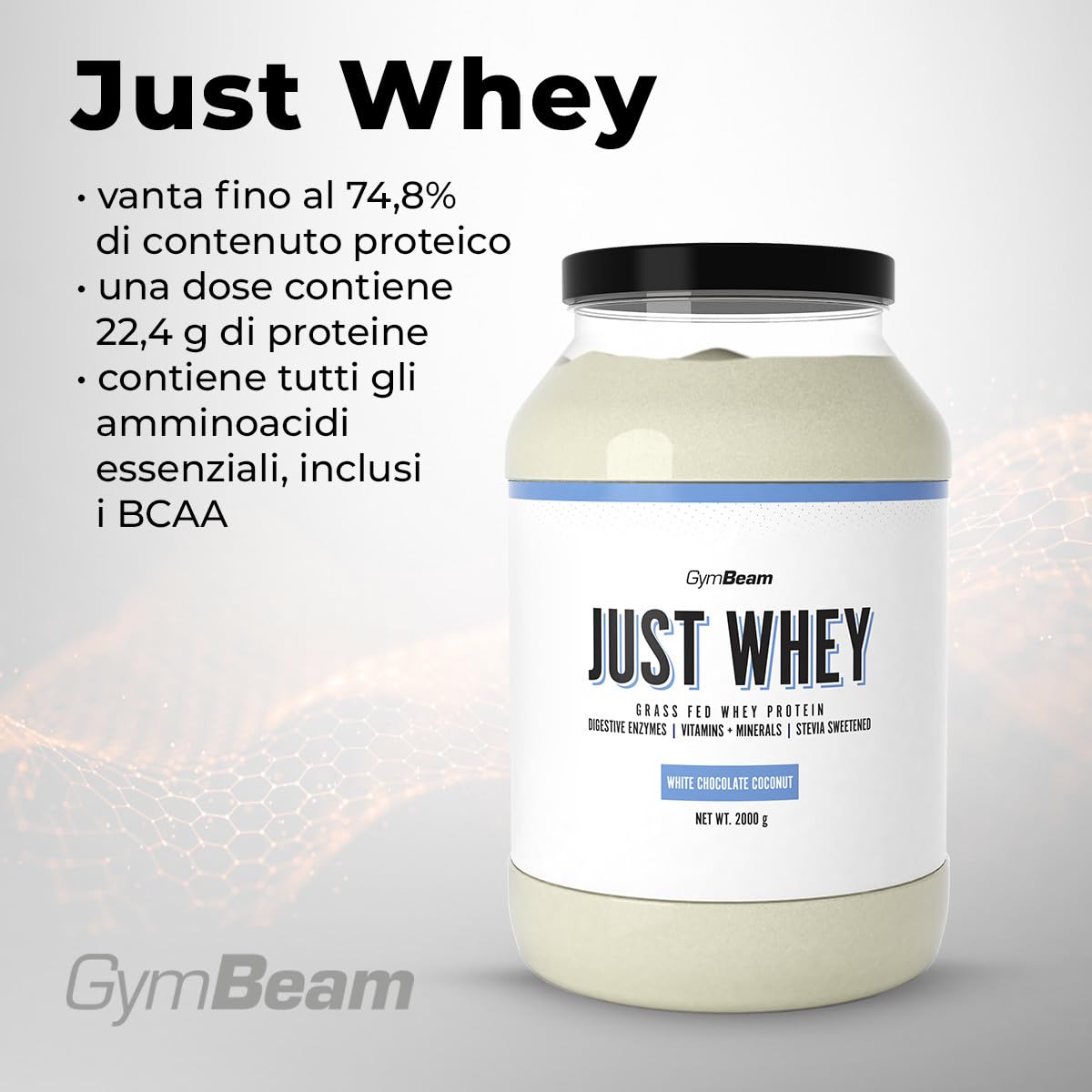 GymBeam Just Whey, Proteine in Polvere Multicomponente da Siero di Latte, Concentrato e Idrolizzato, 22,4g Proteine per Dose, con BCAA e Amminoacidi Essenziali (1000 g, Chocolate Milkshake)