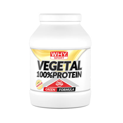 WHY SPORT VEGETAL 100% PROTEIN - Proteine Vegetali - Proteine in Polvere – Proteine del Pisello e del Riso - Gusto Cacao - 750 gr