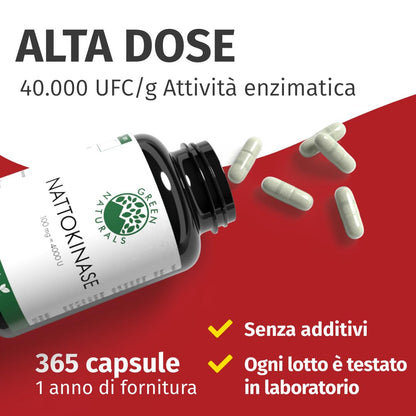 Nattokinase | 365 capsule | ad alto dosaggio | vegano | non OGM | 40.000 UFC/g | 100 mg per capsula | 1 anno di fornitura | Green Naturals®