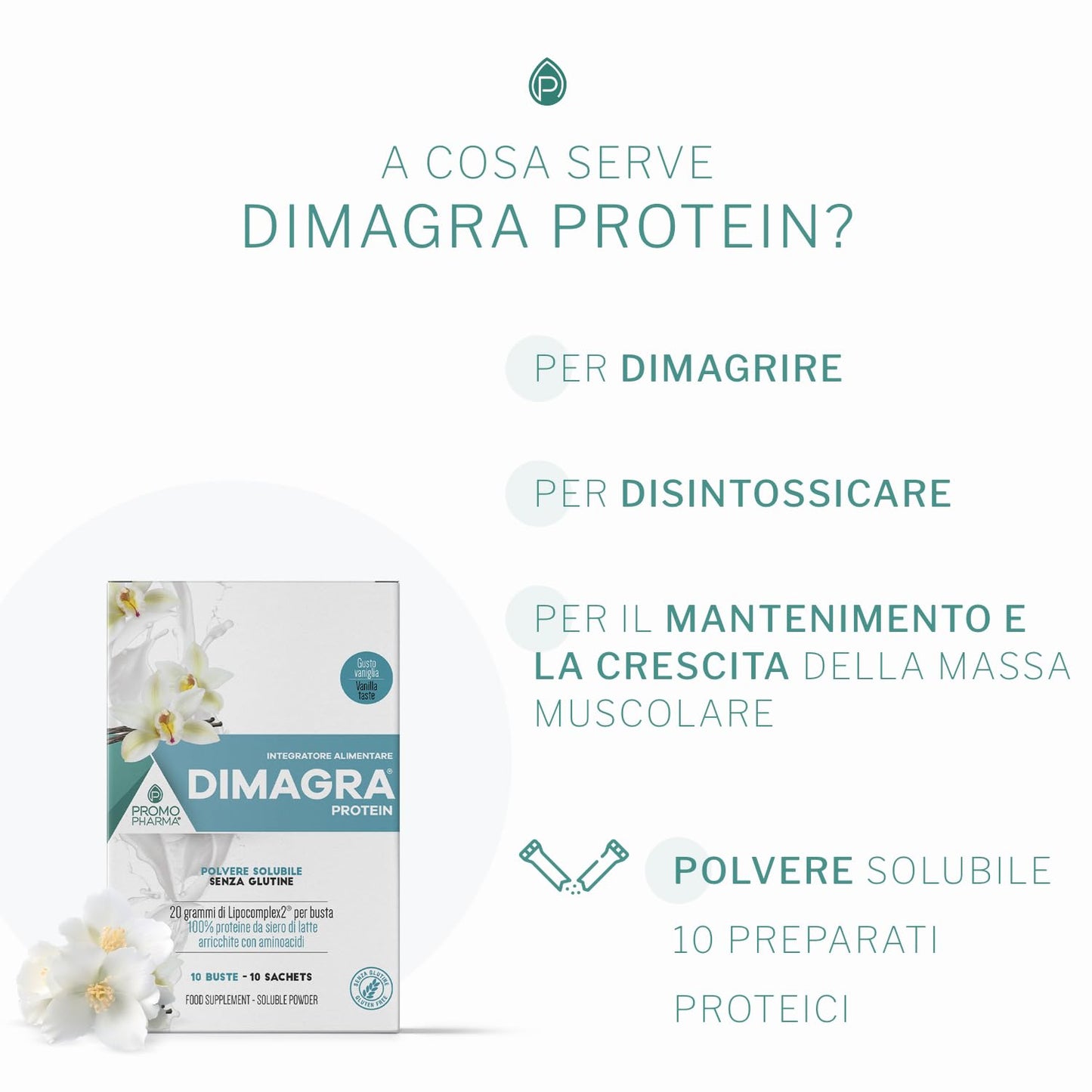 Dimagra Protein - Integratore Alimentare con proteine da siero del latte - Per dimagrire, disintossicare, per il mantenimento e la crescita della massa muscolare - Gusto cioccolato, 10 buste da 22 g