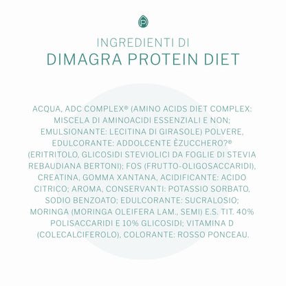 Dimagra Protein - Integratore Alimentare con proteine da siero del latte - Per dimagrire, disintossicare, per il mantenimento e la crescita della massa muscolare - Gusto cioccolato, 10 buste da 22 g