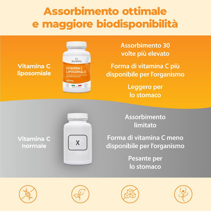 Bandini® Vitamina C Liposomiale 1000mg, 3 mesi, Vegana | Vit C 100% Vegana ad Alto dosaggio | Sistema Immunitario, Ossa, Cartilagini, Pelle, Denti, Stanchezza | Vitamin C Pura Acido Ascorbico 180 cps