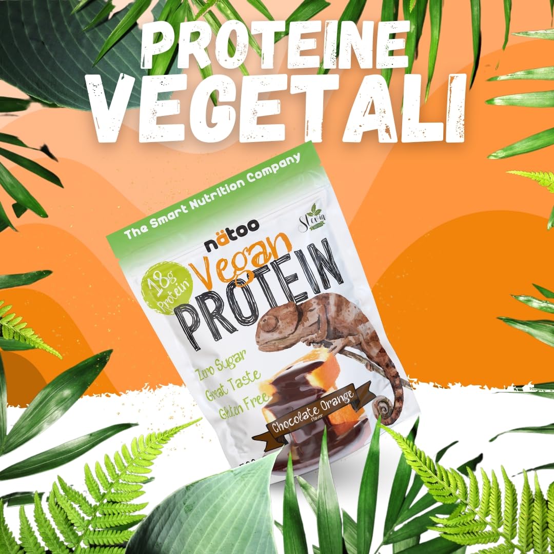 NÄTOO Proteine in Polvere Vegane - 500g Gusto Choco Nut senza Zucchero - Proteine in Polvere Isolate Vegetali provenienti dal Pisello e dal Riso - 18 grammi per Porzione - Proteine senza lattosio