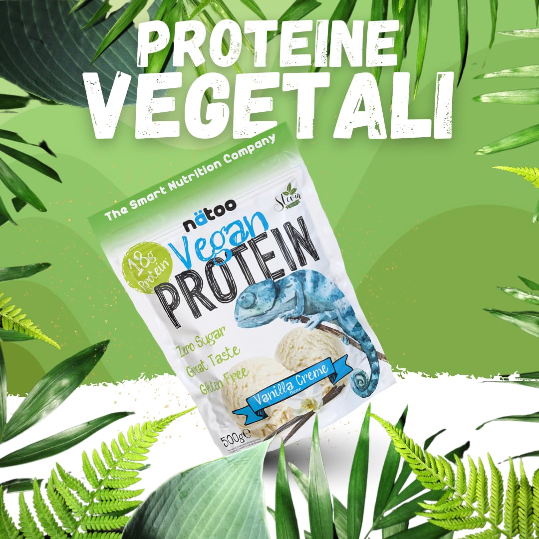 NÄTOO Proteine in Polvere Vegane - 500g Gusto Choco Nut senza Zucchero - Proteine in Polvere Isolate Vegetali provenienti dal Pisello e dal Riso - 18 grammi per Porzione - Proteine senza lattosio