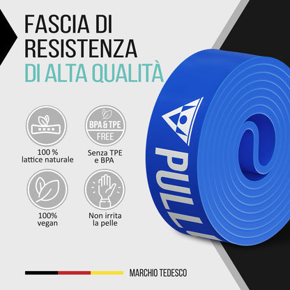 PULLUP & DIP Elastico Fitness per Trazioni, Bande Elastici Fitness con Borsa, Gancio Porta (per Set) e Guida Esercizi, Bande Elastiche di Resistenza, Resistance Bands per Calisthenics, Freeletics