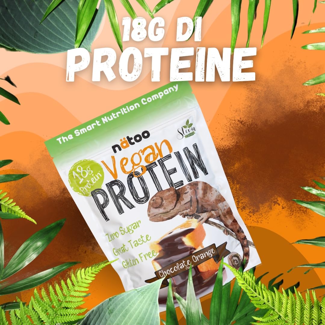 NÄTOO Proteine in Polvere Vegane - 500g Gusto Choco Nut senza Zucchero - Proteine in Polvere Isolate Vegetali provenienti dal Pisello e dal Riso - 18 grammi per Porzione - Proteine senza lattosio