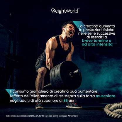 Creatina Monoidrata in Polvere 1000g, Creatina 3000mg 100% Pura, 330 Dosi (10+ Mesi), Fattore di Maglia 200, Creatina Vegana Micronizzata, Pre Workout, Intra Workout, Post Workout, Creatina Monoidrato