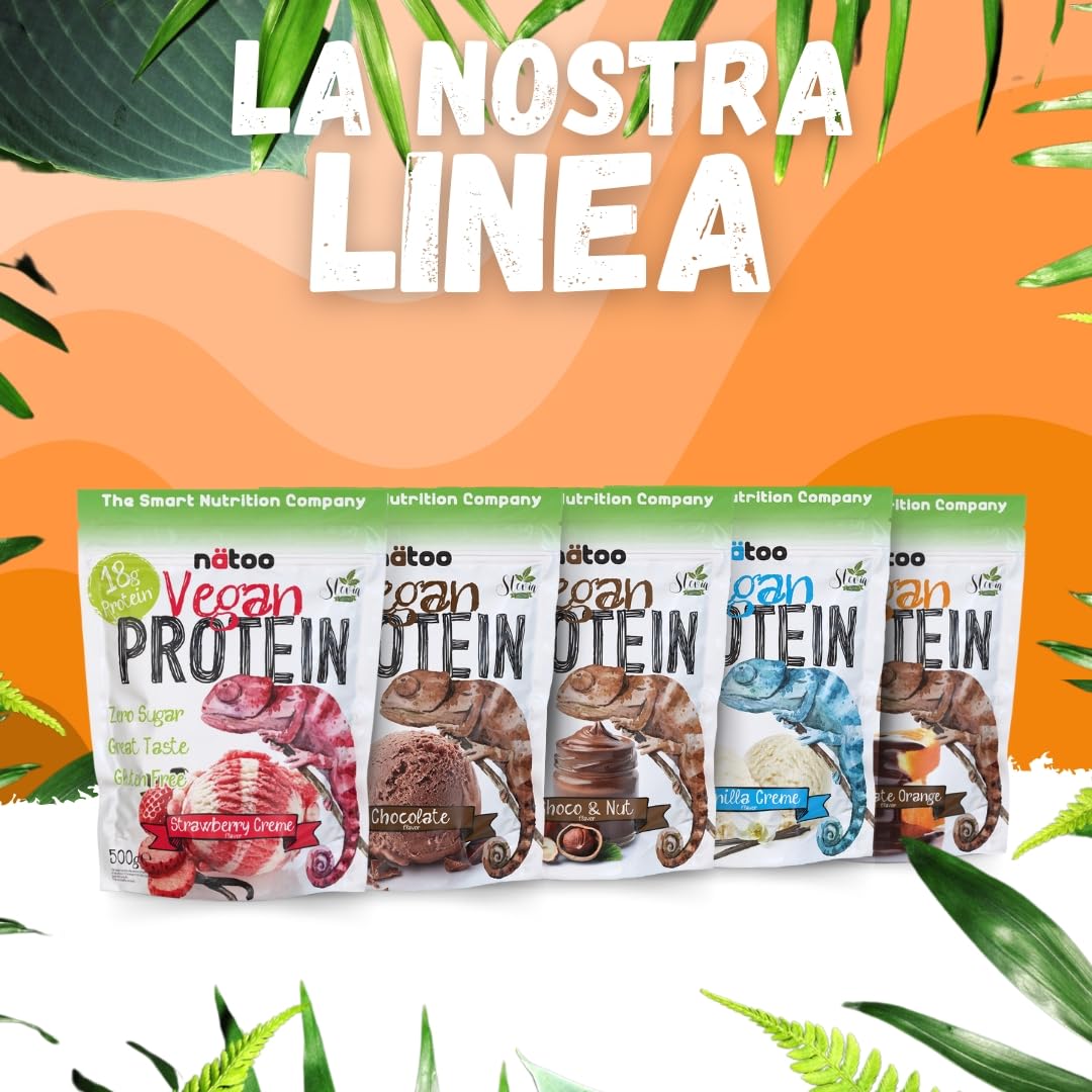 NÄTOO Proteine in Polvere Vegane - 500g Gusto Choco Nut senza Zucchero - Proteine in Polvere Isolate Vegetali provenienti dal Pisello e dal Riso - 18 grammi per Porzione - Proteine senza lattosio