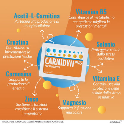 Carnidyn Plus Integratore Alimentare per Stanchezza Mentale e Fisica, 20 Bustine da 5g da Sciogliere in Acqua, Gusto Agrumi