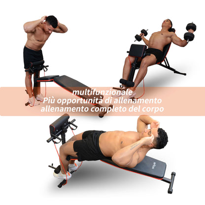 DH FitLife Panca Pesi pieghevole regolabile, panca inclinabile e panca piana, allenamento lombare e addominali, Panca da allenamento multifunzionale per fitness e allenamento della forza