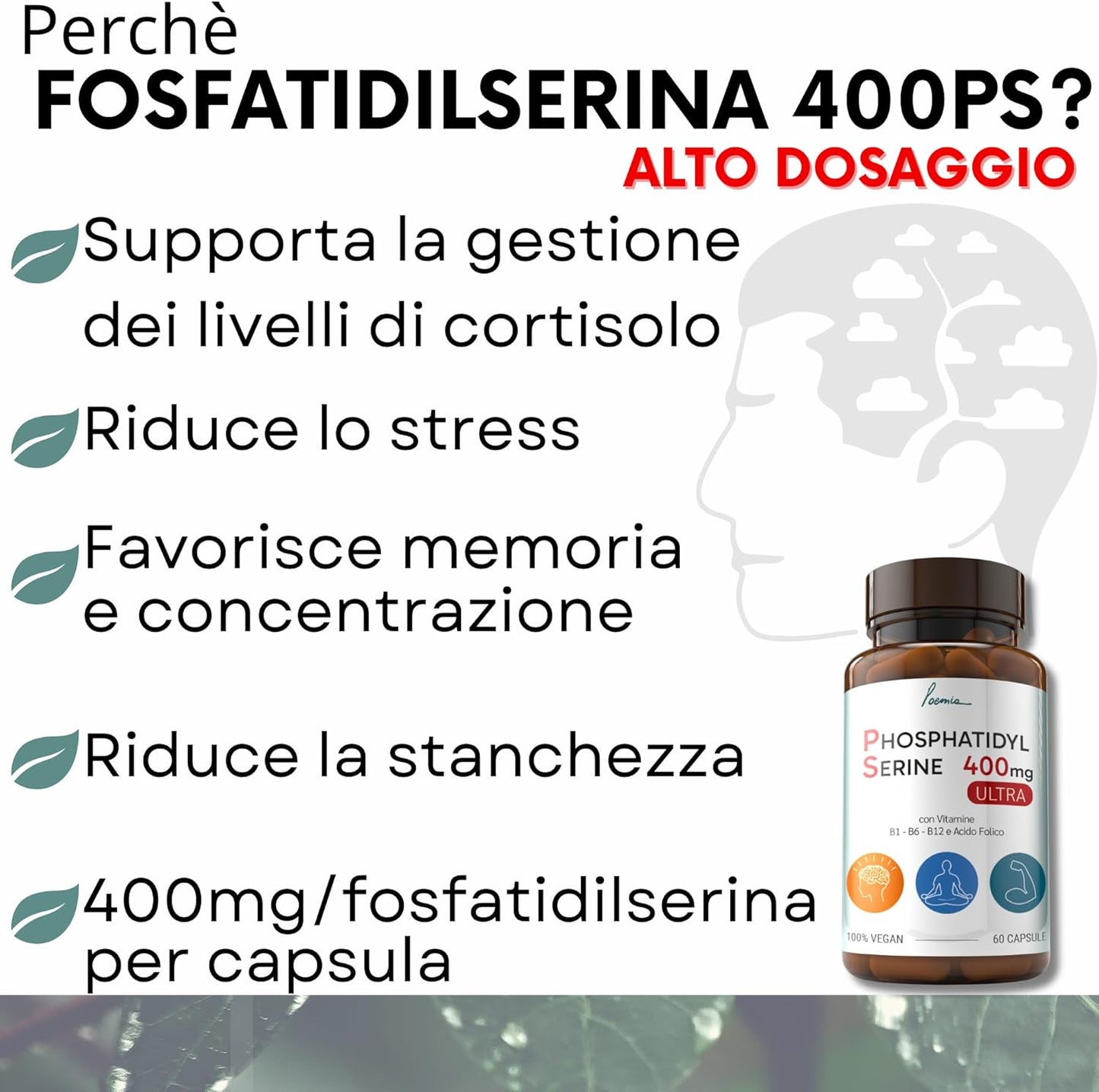 Fosfatidilserina Pura Ps 400mg Contrasta il Cortisolo Migliora Memoria e Concentrazione Riduce lo Stress Integratore con Vitamina B1 (Tiamina) B6 B12 Acido Folico 60 Capsule Poemia