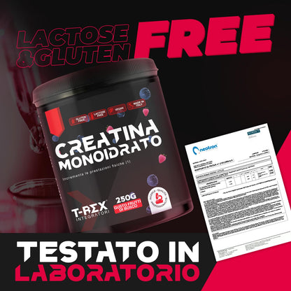 T-Rex Integratori Creatina Micronizzata Monoidrata 100 compresse da 1300mg - Integratore alimentare per massa muscolare e boost energetico pre workout