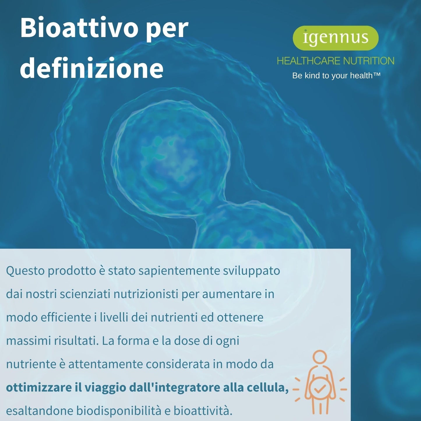 Super B - Vitamina B Complex ad Alto Assorbimento e Rilascio Prolungato,B1,B2,B3,B5 B6,B12, Biotina, Folato e Vitamina C - 60 Compresse Vegane – Igennus