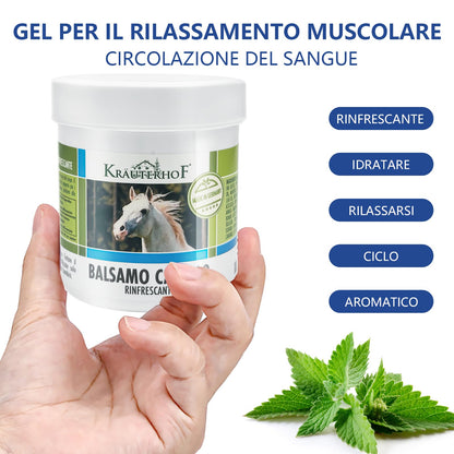 HW CASE Kräuterhof Balsamo per cavalli riscaldante, extra forte, gel massaggiante - Rimedio naturale per il sollievo muscolare (1x500ML)