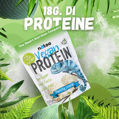 NÄTOO Proteine in Polvere Vegane - 500g Gusto Choco Nut senza Zucchero - Proteine in Polvere Isolate Vegetali provenienti dal Pisello e dal Riso - 18 grammi per Porzione - Proteine senza lattosio