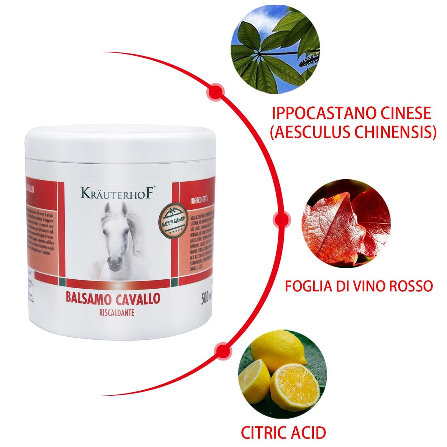 HW CASE Kräuterhof Balsamo per cavalli riscaldante, extra forte, gel massaggiante - Rimedio naturale per il sollievo muscolare (1x500ML)