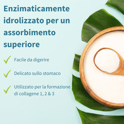 Peptidi di Collagene Idrolizzato, Non Aromatizzato, 100% Polvere Proteica di Collagene Agglomerato Proveniente da Bovini Allevati ad Erba, Collagene da Bere 400gr, Igennus