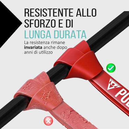 PULLUP & DIP Elastico Fitness per Trazioni, Bande Elastici Fitness con Borsa, Gancio Porta (per Set) e Guida Esercizi, Bande Elastiche di Resistenza, Resistance Bands per Calisthenics, Freeletics