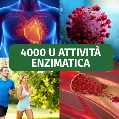 Nattokinase | 365 capsule | ad alto dosaggio | vegano | non OGM | 40.000 UFC/g | 100 mg per capsula | 1 anno di fornitura | Green Naturals®