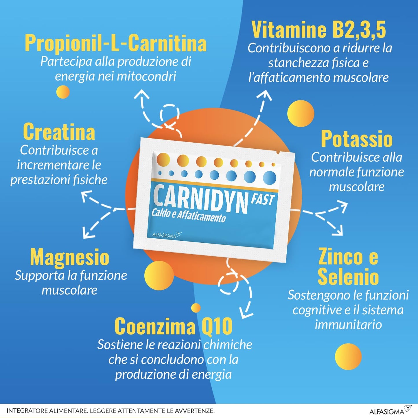 Carnidyn Plus Integratore Alimentare per Stanchezza Mentale e Fisica, 20 Bustine da 5g da Sciogliere in Acqua, Gusto Agrumi