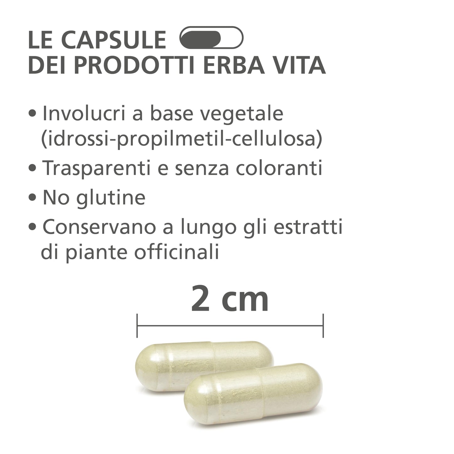 ERBA VITA Integratore Alimentare di Spaccapietra, 60 Capsule, per la funzionalità delle vie urinarie, 60 unità, 1