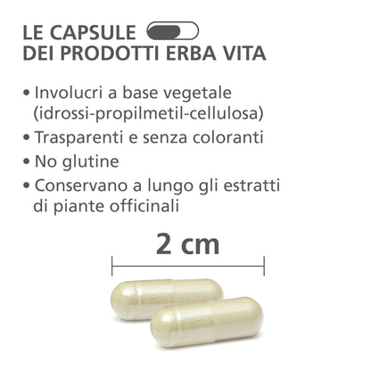 ERBA VITA Integratore Alimentare di Spaccapietra, 60 Capsule, per la funzionalità delle vie urinarie, 60 unità, 1