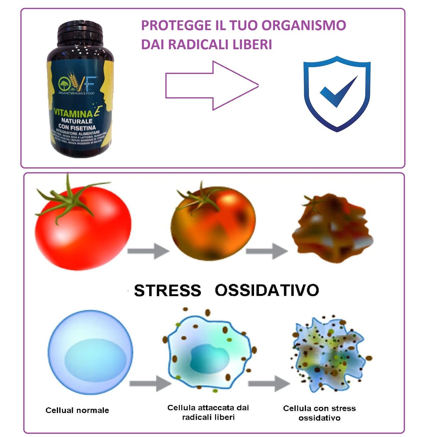 OVF Vitamina E Integratore con Fisetina - 120 Capsule 60mg - Antiossidante Naturale - Supporta il Benessere di Cuore, Cervello e Sistema Immunitario.