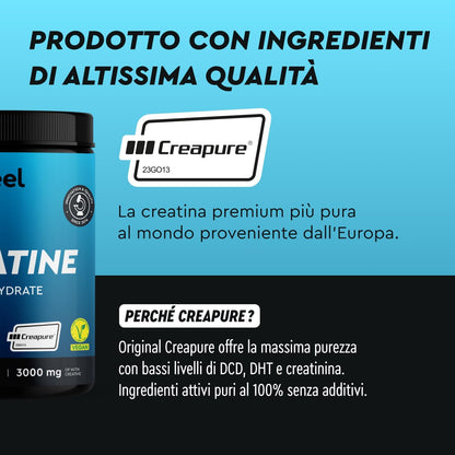 Creatina Monoidrata in Polvere 500 g, Materia Prima di Marca Creapure ad Alto Dosaggio, Supporto per Sport e Atleti, 100% Creatina Pura e di Alta Qualità, Palestra e Pre Workout