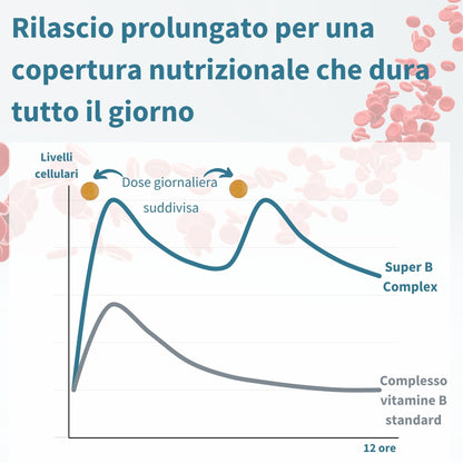 Super B - Vitamina B Complex ad Alto Assorbimento e Rilascio Prolungato,B1,B2,B3,B5 B6,B12, Biotina, Folato e Vitamina C - 60 Compresse Vegane – Igennus