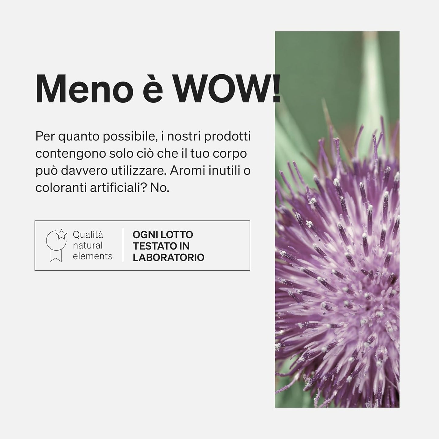 Complesso di cardo mariano, carciofo e dente di leone – 120 capsule – natural elements – Alto dosaggio con 80% di silimarina – Senza stearato di magnesio, vegano